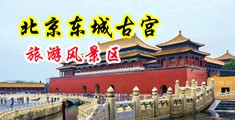 中国顶级毛片美少妇扣逼中国北京-东城古宫旅游风景区